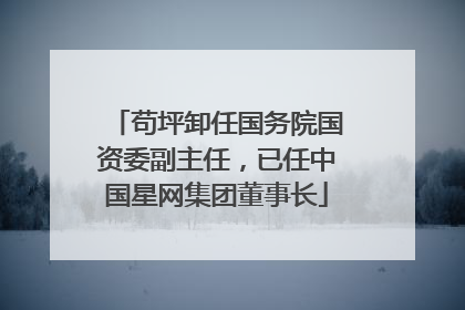 苟坪卸任国务院国资委副主任，已任中国星网集团董事长