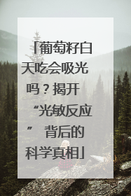 葡萄籽白天吃会吸光吗？揭开 “光敏反应” 背后的科学真相