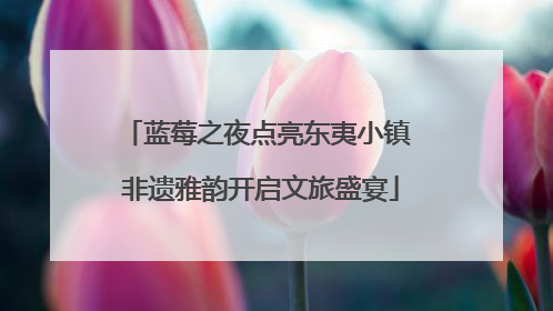 蓝莓之夜点亮东夷小镇 非遗雅韵开启文旅盛宴