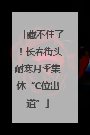 藏不住了！长春街头耐寒月季集体“C位出道”