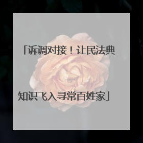 诉调对接！让民法典知识飞入寻常百姓家