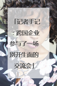记者手记：跨国企业参与了一场别开生面的交流会