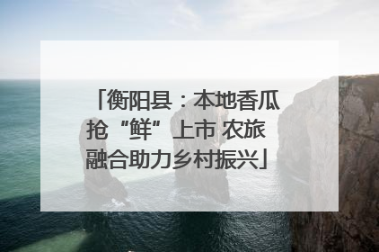 衡阳县：本地香瓜抢“鲜”上市 农旅融合助力乡村振兴