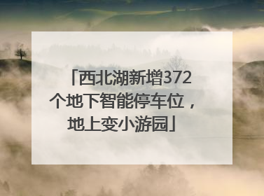 西北湖新增372个地下智能停车位，地上变小游园