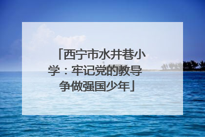 西宁市水井巷小学：牢记党的教导 争做强国少年