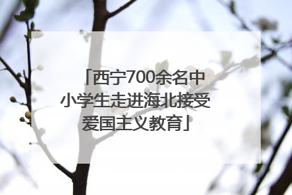 西宁700余名中小学生走进海北接受爱国主义教育