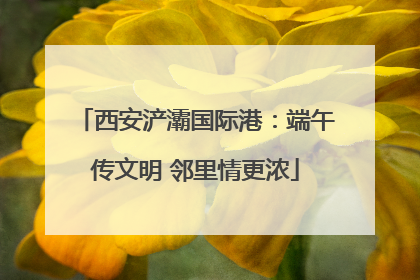 西安浐灞国际港：端午传文明 邻里情更浓