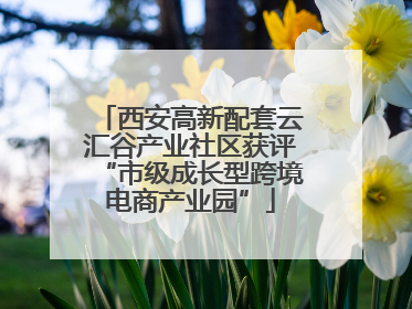 西安高新配套云汇谷产业社区获评“市级成长型跨境电商产业园”