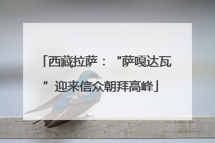 西藏拉萨：“萨嘎达瓦”迎来信众朝拜高峰