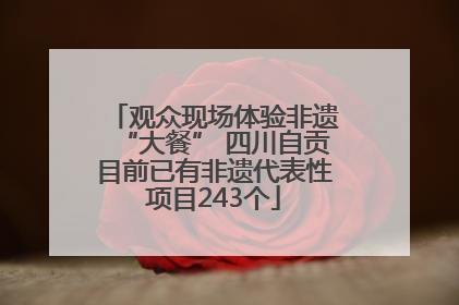 观众现场体验非遗“大餐” 四川自贡目前已有非遗代表性项目243个