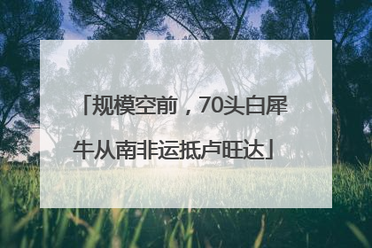 规模空前，70头白犀牛从南非运抵卢旺达