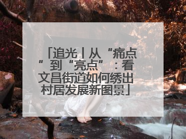 追光丨从“痛点”到“亮点”：看文昌街道如何绣出村居发展新图景