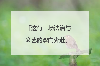 这有一场法治与文艺的双向奔赴