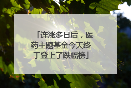 连涨多日后,医药主题基金今天终于登上了跌幅榜