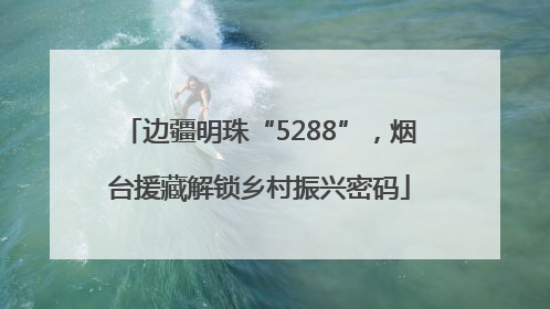 边疆明珠“5288”，烟台援藏解锁乡村振兴密码