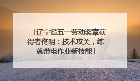 辽宁省五一劳动奖章获得者佟明：技术攻关，练就带电作业新技能