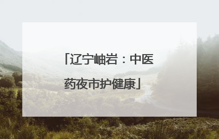 辽宁岫岩：中医药夜市护健康