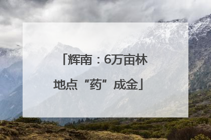 辉南：6万亩林地点“药”成金