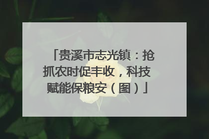 贵溪市志光镇：抢抓农时促丰收，科技赋能保粮安（图）