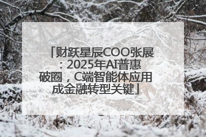 财跃星辰COO张展：2025年AI普惠破圈，C端智能体应用成金融转型关键