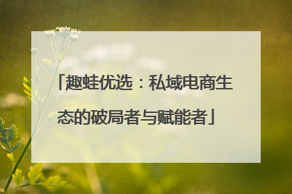 趣蛙优选：私域电商生态的破局者与赋能者