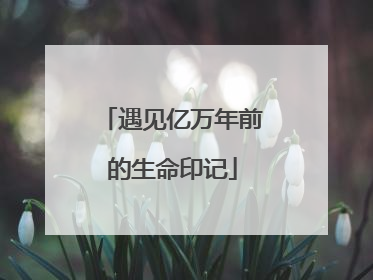 遇见亿万年前的生命印记