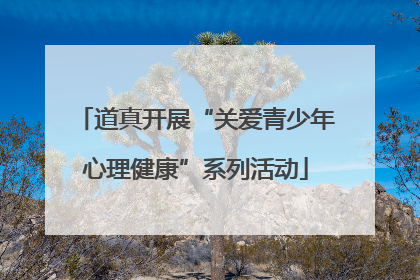 道真开展“关爱青少年心理健康”系列活动