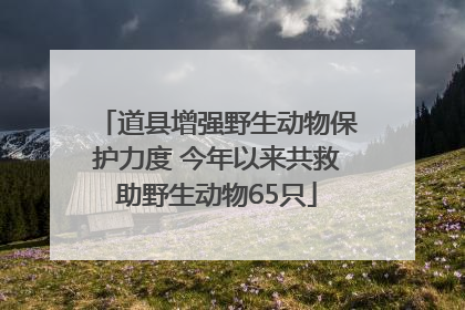 道县增强野生动物保护力度 今年以来共救助野生动物65只