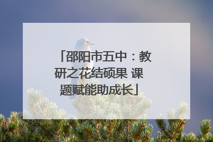 邵阳市五中：教研之花结硕果 课题赋能助成长