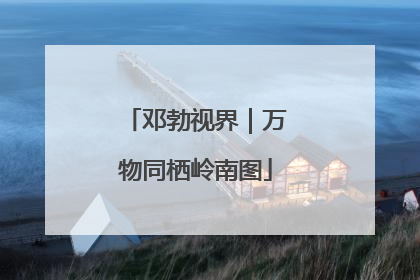 邓勃视界｜万物同栖岭南图