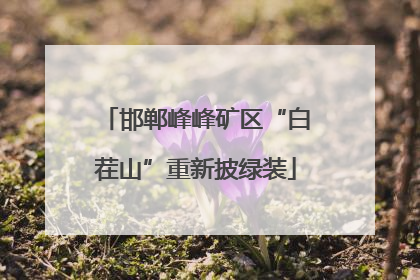 邯郸峰峰矿区“白茬山”重新披绿装