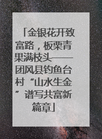 金银花开致富路，板栗青果满枝头——团风县钓鱼台村“山水生金”谱写共富新篇章
