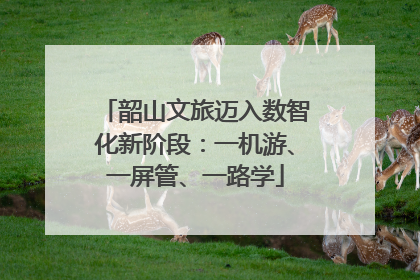 韶山文旅迈入数智化新阶段：一机游、一屏管、一路学