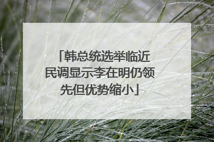 韩总统选举临近 民调显示李在明仍领先但优势缩小