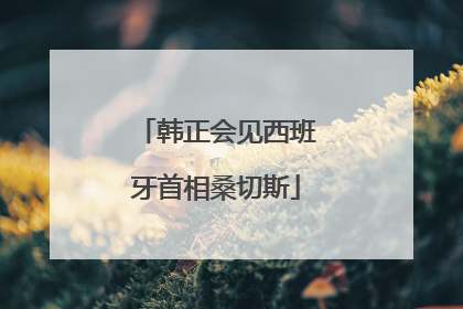 韩正会见西班牙首相桑切斯