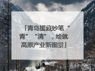 青岛援藏妙笔“青”“清”，绘就高原产业新图景
