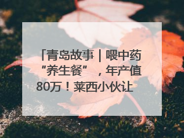 青岛故事｜喂中药“养生餐”，年产值80万！莱西小伙让“自家产”锦鲤“游”向全国