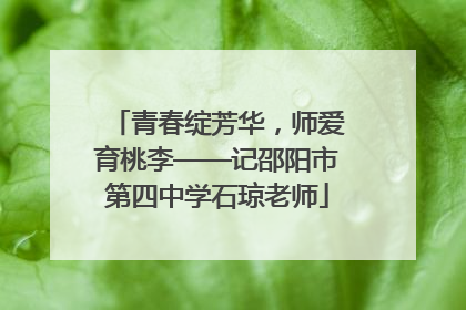 青春绽芳华，师爱育桃李——记邵阳市第四中学石琼老师