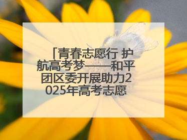 青春志愿行 护航高考梦——和平团区委开展助力2025年高考志愿服务活动