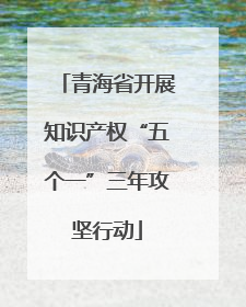 青海省开展知识产权“五个一”三年攻坚行动