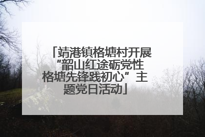 靖港镇格塘村开展“韶山红途砺党性 格塘先锋践初心”主题党日活动