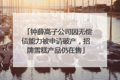钟薛高子公司因无偿债能力被申请破产，招牌雪糕产品仍在售