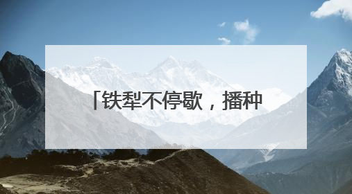铁犁不停歇，播种新希望——山东“三夏”抢收抢种忙