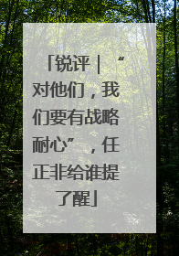 锐评｜“对他们，我们要有战略耐心”，任正非给谁提了醒