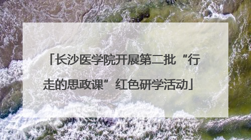 长沙医学院开展第二批“行走的思政课”红色研学活动