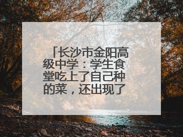 长沙市金阳高级中学：学生食堂吃上了自己种的菜，还出现了一批劳动能手