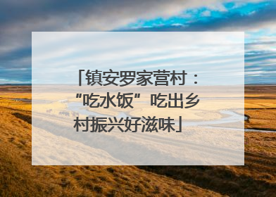 镇安罗家营村：“吃水饭”吃出乡村振兴好滋味