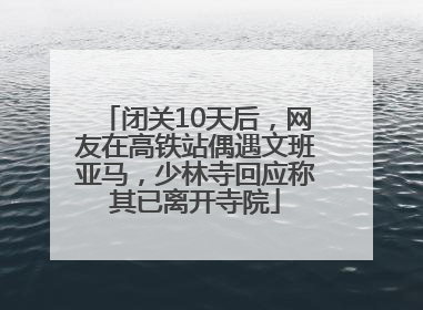 闭关10天后，网友在高铁站偶遇文班亚马，少林寺回应称其已离开寺院