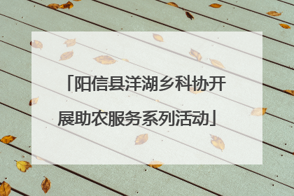 阳信县洋湖乡科协开展助农服务系列活动