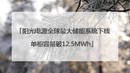 阳光电源全球最大储能系统下线 单柜容量破12.5MWh